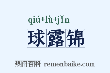 球露锦是什么意思的图片